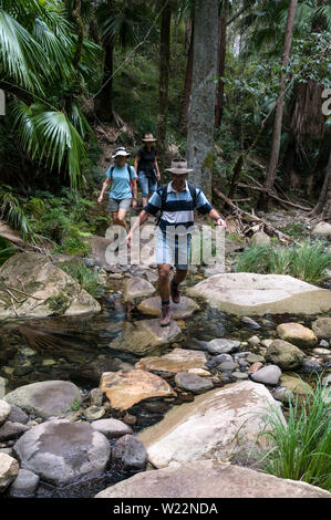 Eine australische Familie über einen kleinen Bach mit trittsteine in der Nähe der MOSS-Garten innerhalb des Carnarvon Gorge National Park in der zentralen Hi Stockfoto