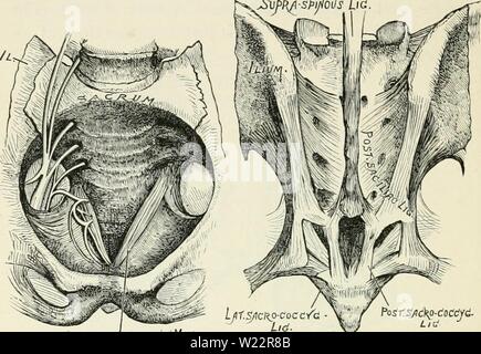 Archiv Bild ab Seite 107 von Darwin, und nach Darwin Ein Stockfoto