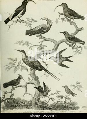 Archiv Bild ab Seite 112 Der cyclopedia; oder, Universal Wörterbuch Stockfoto