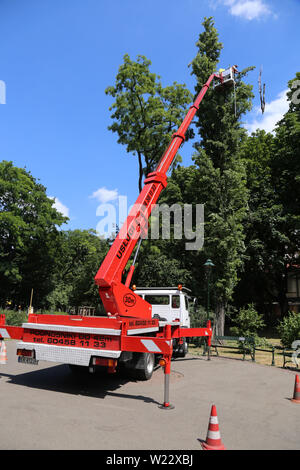 Krakau. Krakau. Polen. Cutitng aus den toten Ästen des Baumes in einem der Parks der Stadt mit der erhöhten Plattform. Stockfoto