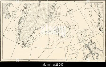 Archiv Bild von Seite 119 des Dänischen Ingolf-Expedition (1918). Die dänische Ingolf-Expedition danishingolfexpe 0507 ingo Jahr: 1918 112 HYDROIDA II Diphasia rosacea (Linne) L. Agassiz. 175 S Srrtularia rosacea, Linne, Systema Naturae, Ed. 10, S. 807. 1862 Diphasia rosacea, L. Agassiz, Beiträge zur natürlichen Geschichte der Vereinigten Staaten, Bd. 4, S. 355. Aufrechte Kolonien ohne deutliche Hauptstamm. Die Kolonien sind unregelmäßig Gefiedert oder bushily nched, segmentiert, und mit einem Paar von entgegengesetzt platzierte hydrothecse auf jedem Internodium. Die hvdrothecse sind schlank, fast gleichmäßig röhrenförmig, mit Stockfoto