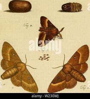 Archiv Bild ab Seite 122 von De natuurlyke Historie der Insecten;. De natuurlyke Historie der Insecten; voorzien met naar 't Leven en getekende gekoleurde plaaten denatuurlykehist 0102 Rs Jahr: 1764-68 (Jia-Z. '5 CJto.. . J Stockfoto