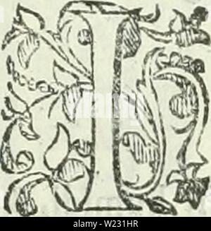 Archiv Bild ab Seite 124 von Dell' Elixier vitae (1624) Stockfoto