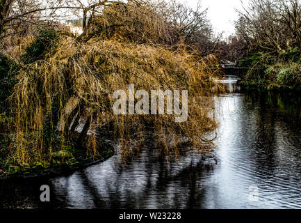 Irische Park Stockfoto