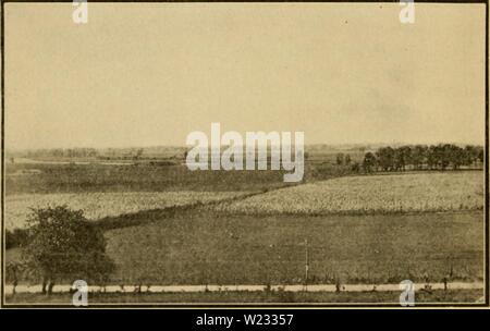 Archiv Bild ab Seite 129 Der Dadant-maße System der Bienenzucht (1920). Dadant-maße System der Imkerei dadantsystemofbe 00 dada Jahr: 1920 114 DADAXT SYSTEM DER IMKEREI genommen werden, um nicht eine Flamme in der Nähe, wie das Gas entzündet sich und explodiert. Andere Feinde der Bienen sind zu gering, um einen Platz in dieser kurzen Abhandlung zu finden. Wir werden hier ein paar Regeln, die wir für wichtig halten, in unserem Klima mindestens: Wir nie von Angesicht Kolonien gegen Mitternacht, als die Bienen oft in der Nähe der Eingang zu Ihrem Haus in unangenehmes Wetter kühl.. Wir niemals bewegen Kolonien von Bienen, sogar ein paar Zoll, mit-out Platzierung einer schrägen b Stockfoto