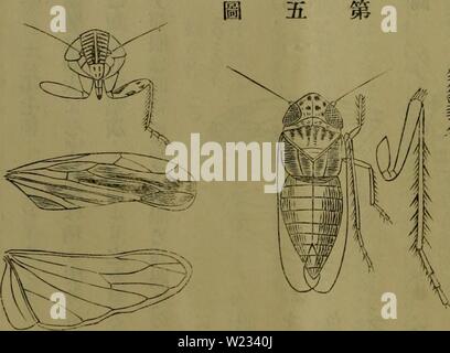 Archiv Bild ab Seite 131 Der Dbutsugaku zasshi (1889) Stockfoto