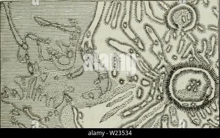 Archiv Bild ab Seite 134 von Das Weltall; Beschreibung und Illustr. Stockfoto