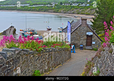 Blick auf die Fischerboote in Newquay Hafen Familien spielen am Strand. Die Cardigan Bay Marine Wildlife Center Gebäude hinter der hübschen rosa Blüten. Stockfoto