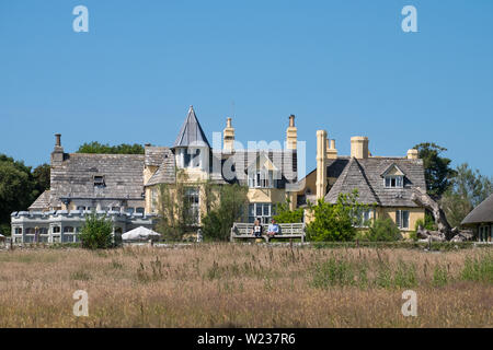 Das Schwein am Strand, Studland, Dorset, Großbritannien Stockfoto