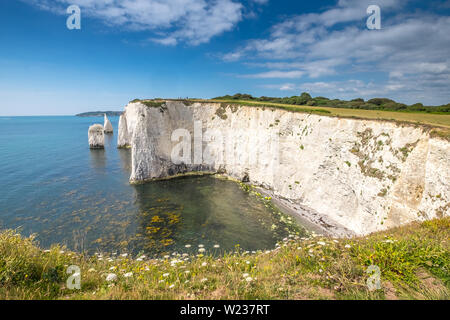 Die Pinnacles im Bild von Ballard, Isle of Purbeck, Dorset, Großbritannien Stockfoto