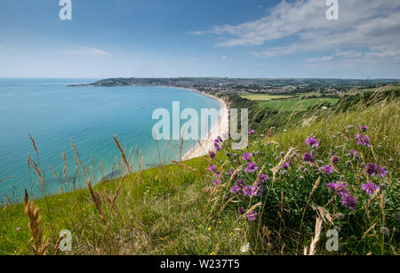 Swanage Bay von der Küste weg auf Ballard, Dorset, Großbritannien Stockfoto