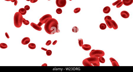 Rote Blutzellen fließt durch Kreislaufsystem Stockfoto