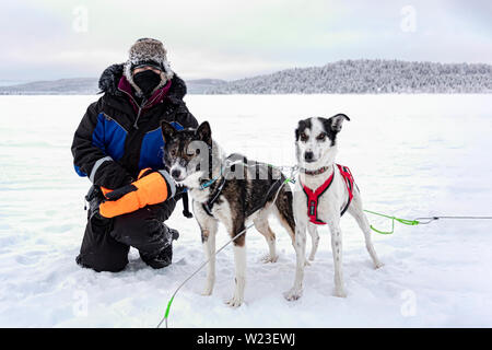 Finnland, Inari - Januar 2019: Frauen petting husky Hunde nach touristische Schlittenfahrt Stockfoto