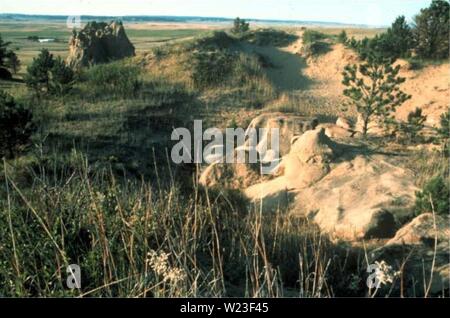 Archiv Bild von Seite 160 des Botanischen und Vegetation Übersicht von. Botanische und Vegetation Umfrage von Carter County, Montana, Büro für Landmanagement - verwaltet Grundstücke D4B7AF 30-6 FF 2-4017-ADC 9-7 C 50A 7256521 Jahr: 1998 Fotos von EJdriw H&del Chnopodivm subgtabrvm Lebensraum Stockfoto