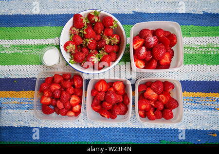 Frische Erdbeeren in Kunststoffbehältern bereit, für das Einfrieren und suger Becher auf bunten Rag rug Stockfoto