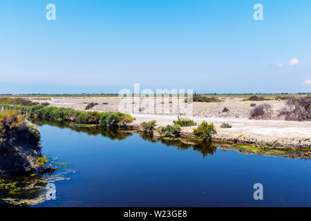 Bewässerungskanal in das Sumpfgebiet der Camargue, Südfrankreich. Stockfoto