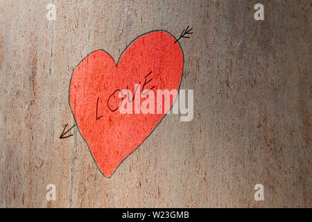 Liebe Herz Hand und liebe Text auf einer Amtsleitung Baum gemalt. Liebe Konzept. Valentines Hintergrund Stockfoto
