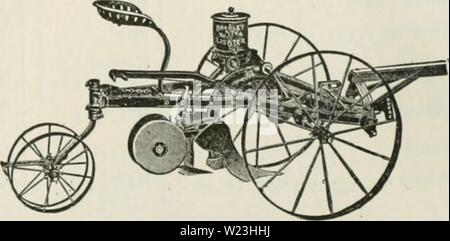 Archiv Bild ab Seite 166 der Cyclopedia von landwirtschaftlichen Kulturpflanzen Stockfoto