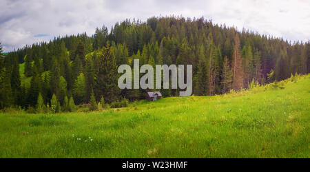 Einen malerischen Blick auf die Karpaten Natur, ein altes Haus im Tal von Nadelwald auf den Hügeln umgeben. Sonniger Frühlingstag mit grünem Gras Stockfoto