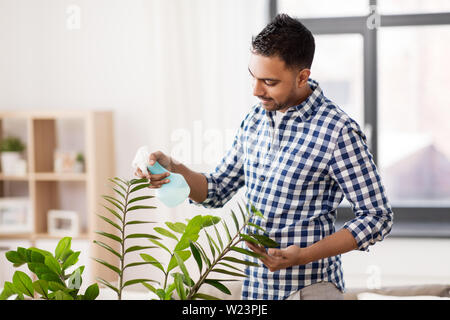 Indische Mann spritzen Zimmerpflanze mit Wasser zu Hause Stockfoto