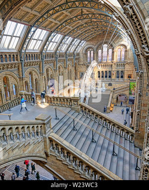 London, Großbritannien - 17 April, 2019 - Das Innere des Natural History Museum und und Wal Skelett in London, Vereinigtes Königreich. Stockfoto