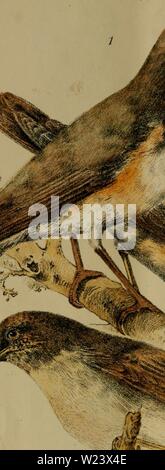 Archiv Bild ab Seite 187 von Dbutsugaku zasshi (1889) Stockfoto