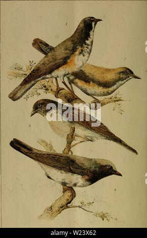 Archiv Bild ab Seite 187 von Dbutsugaku zasshi (1889) Stockfoto