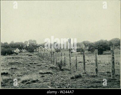 Archiv Bild ab Seite 203 der Abteilung Rundschreiben (1918) Stockfoto