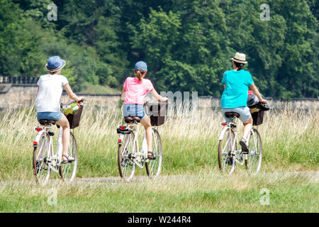 Drei Frauen, Radfahrerinnen auf dem Fahrrad entlang der Elbe bei Dresden, Deutschland Fahrrad Europa Radfahren Landschaft Stockfoto