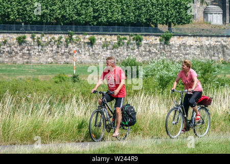 Zwei Senioren, Radfahrer fahren mit dem Rad entlang der Elbe Dresden wiese Deutschland, Europa Stockfoto