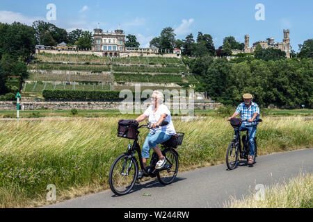 Zwei Senioren, Radler auf dem Fahrrad entlang der Elbe bei Dresden, Schloss Lingnerschloss Eckberg, Deutschland Alte Menschen Europa Stockfoto