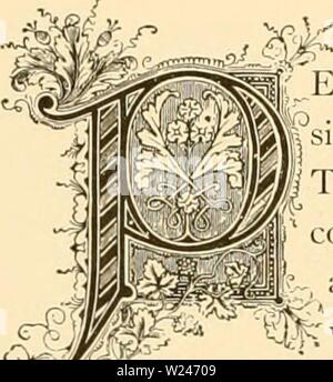 Archiv Bild ab Seite 211 der Cyclopedia von praktische Blumenzucht (1884). Cyclopedia von praktische Blumenzucht cyclopediaofprac 00 drehen Sie Jahr: 1884 einerseits €. SjirilUVl crsica. Nati-ual Ohdeh: 0/cacccv â Olive Familie. ERSIAN LILA variiert von der gemeinsamen Sorten, sowohl was die Größe und Laub, die teilweise ganze, und wieder Cleft. Ich // Die Blüten weiß oder Violett, und Blühen in Spikes. Unsere Flieder ist ein natie von Ungarn und ist ver} - populäre a', einem frühen Besucher im Frühling, wenn es erfreut das bower:.| lth seinen Geruch und Blüten. Der Lateinische name Syringa, hat â¢ seine oiigin in der Griechischen t Stockfoto