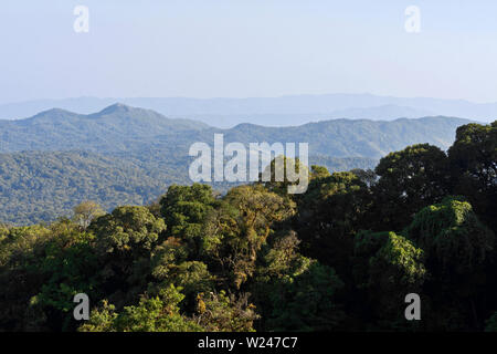 Malerischer Blick auf Doi Inthanon Peak, Chiang Mai, Thailand Stockfoto