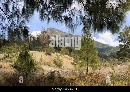 Landschaft auf dem Weg zum Gipfel des Mount Rinjani, Lombok, Indonesien Stockfoto