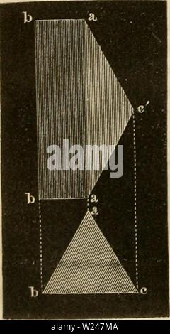 Archiv Bild ab Seite 213 von Das Mikroskop Theorie, Gebrauch, illustr. Das Mikroskop. Theorie, Gebrauch, Geschichte und gegenwärtiger Zustand desselben dasmikroskoptheo 00 hart-Jahr: 1859 Piff. 93. Fiff. 94. Stockfoto