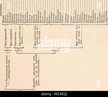 Archiv Bild von Seite 214 des cyclopaedia von Anatomie und Stockfoto