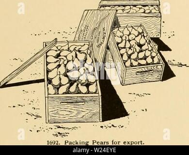 Archiv Bild ab Seite 236 der Cyclopedia der amerikanischen Gartenbau Stockfoto