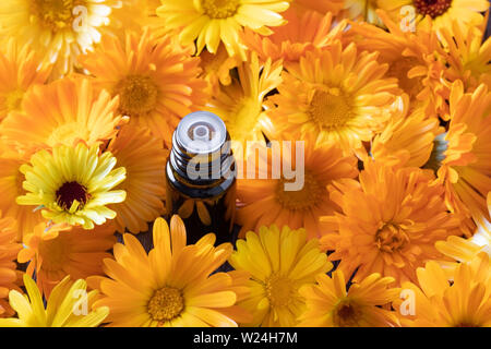 Eine Flasche Öl mit Orange und Gelb calendula Blüten Stockfoto