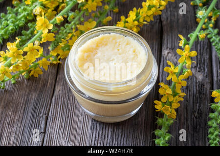 Ein Glas hausgemachte Salbe vom Shea Butter und frischem agrimony Blumen Stockfoto