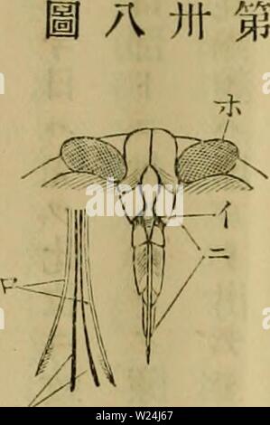 Archiv Bild von Seite 245 des Dbutsugaku zasshi (1889) Stockfoto