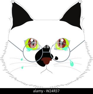 Cat CG, Vektor Bild Stockfoto