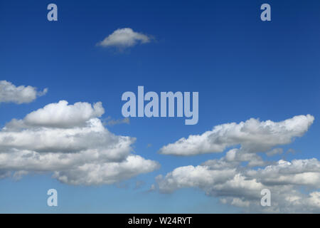 Cumulous, cumulus, weiß, Wolke, Wolken, blauer Himmel, England, UK 3 Stockfoto