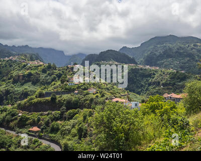 Laurissilva Wald Madeira Stockfoto