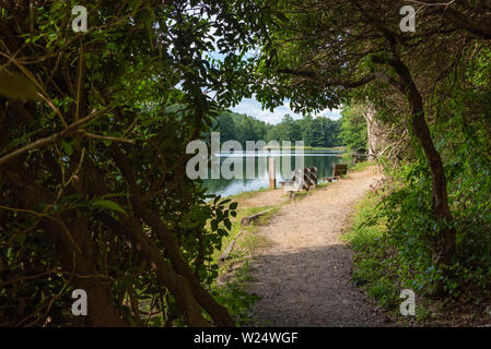 Am See Wanderweg am See Trahlyta bei Vogel State Park in den Blue Ridge Mountains im Nordosten Georgiens. (USA) Stockfoto