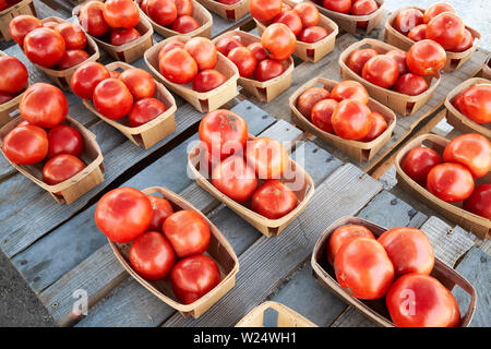 Körbe mit frischen großen beefsteak Tomaten zum Verkauf auf einem Bauernhof außerhalb Townsend Georgia USA Stockfoto