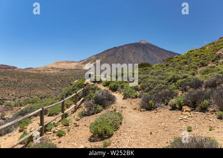 Berge Landschaft der Park Teide im Sommer. Wanderwege entlang der Berghänge mit endemischen Vegetation, den Vulkan Teide am sonnigen Tag, Clear blue s Stockfoto