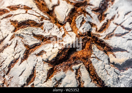 Natürliche organische schmackhaftes und gesundes Brot aus dunklem Roggenmehl mit Gecrackten knusprige Kruste nach dem Backen im Ofen mit einer fantastischen Muster ähnlich Stockfoto