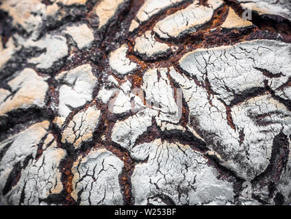 Natürliche organische schmackhaftes und gesundes Brot aus dunklem Roggenmehl mit Gecrackten knusprige Kruste nach dem Backen im Ofen mit einer fantastischen Muster ähnlich Stockfoto