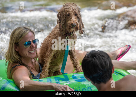 Familie Schläuche des Chattahoochee River mit ihrem Hund in Helen, Georgia. (USA) Stockfoto