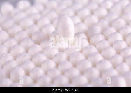 Detailansicht von oben auf runde Packung mit Wattestäbchen auf rosa Hintergrund. Stockfoto